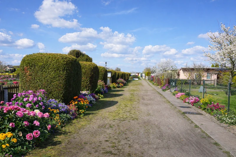 Gepflegter Hauptweg der Kleingartenanlage Anton Vockert 1912 e.V. in Markranstädt bei Lützen