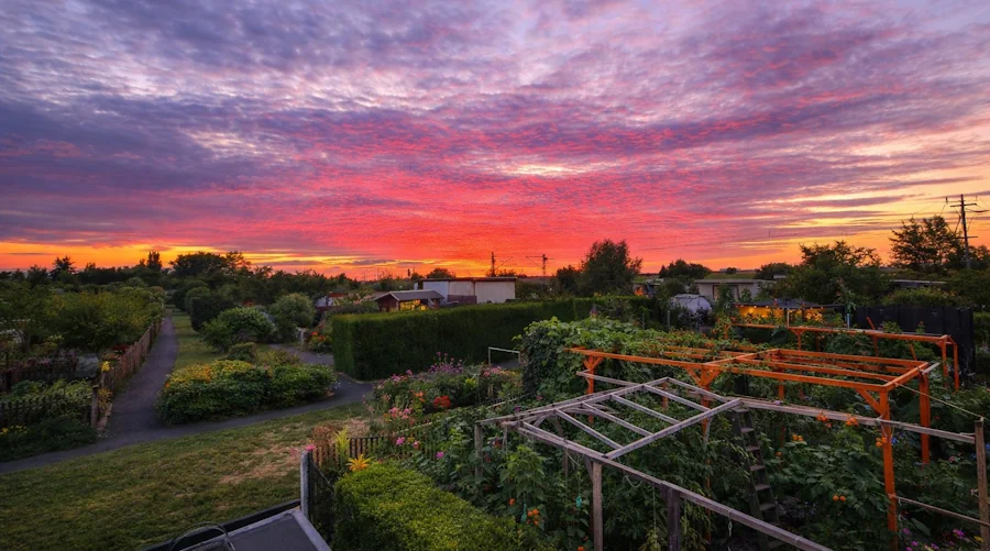 Kleingartenanlage Anton Vockert 1912 e.V. in Markranstädt